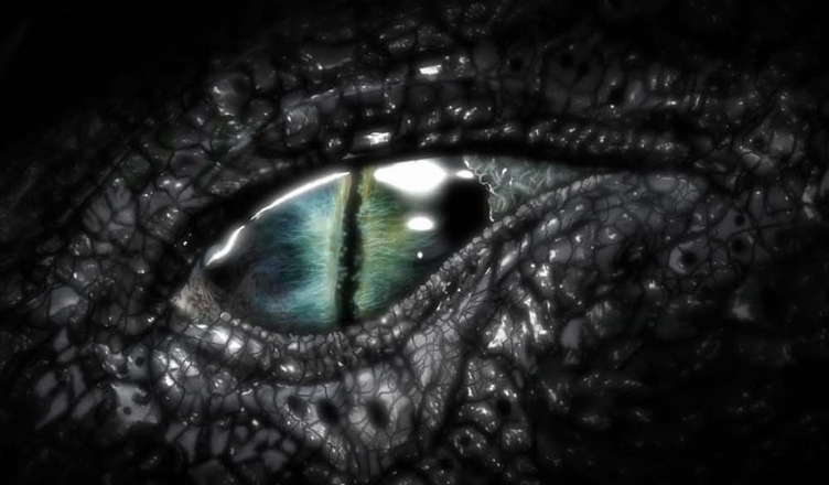 Dragon’s I #04: Karakter ve Kişilik